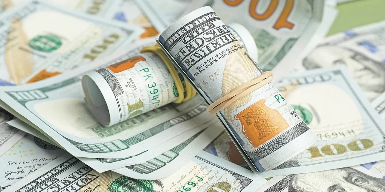 Döviz Mevduatında Haftalık Gerileme