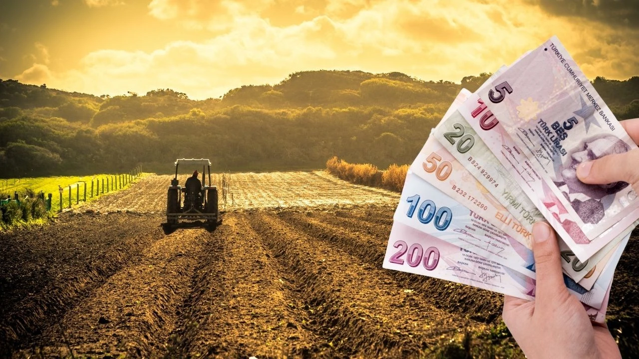 Tarım ve esnaf kredileri için düzenleme yayımlandı